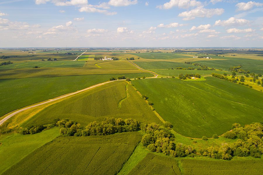 Nevada IA - View of Green Farmland in Nevada Iowa