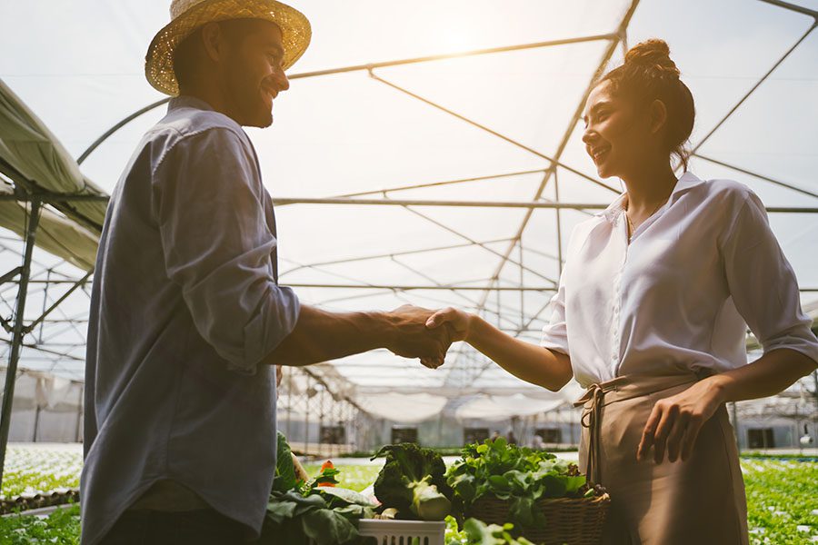 Client Center - Farmer and Business Woman Standing in a Greenhouse Shaking Hands